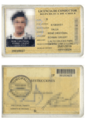 La imagen muestra una licencia de conducir para la traducción al alemán.