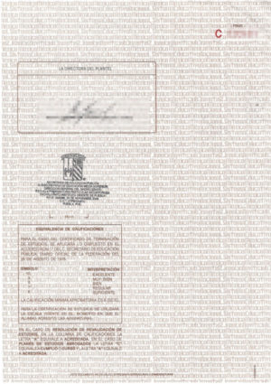 Das Bild zeigt die Rückseite des Schulabschluss-Zeugnisses aus Mexiko für die offizielle Übersetzung ins Deutsche.