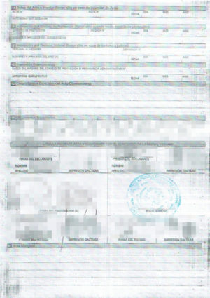 The picture shows a sworn translation of birth certificate from Venezuela into German.