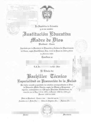 La imagen muestra título del Bachiller Técnico de Colombia para la traducción al alemán.
