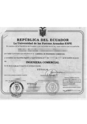La imagen muestra un título de ingeniería de Ecuador para la traducción al alemán.