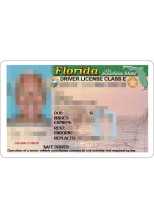 The image shows a US driver's license for the sworn translation into German