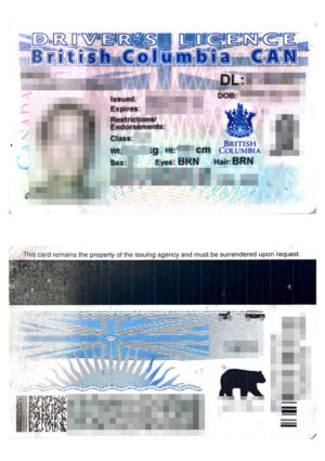 Canada Driver's Licence