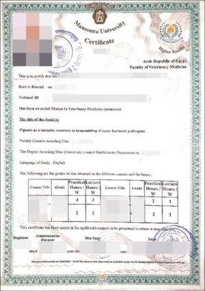 Egipto Título Universitario: Inglés al Alemán