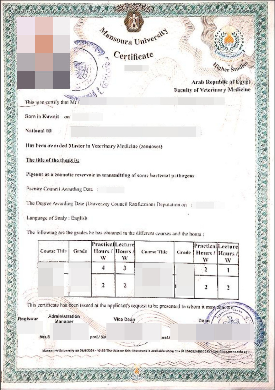 beglaubigte-uebersetzung-hochschulabschluss-aegypten