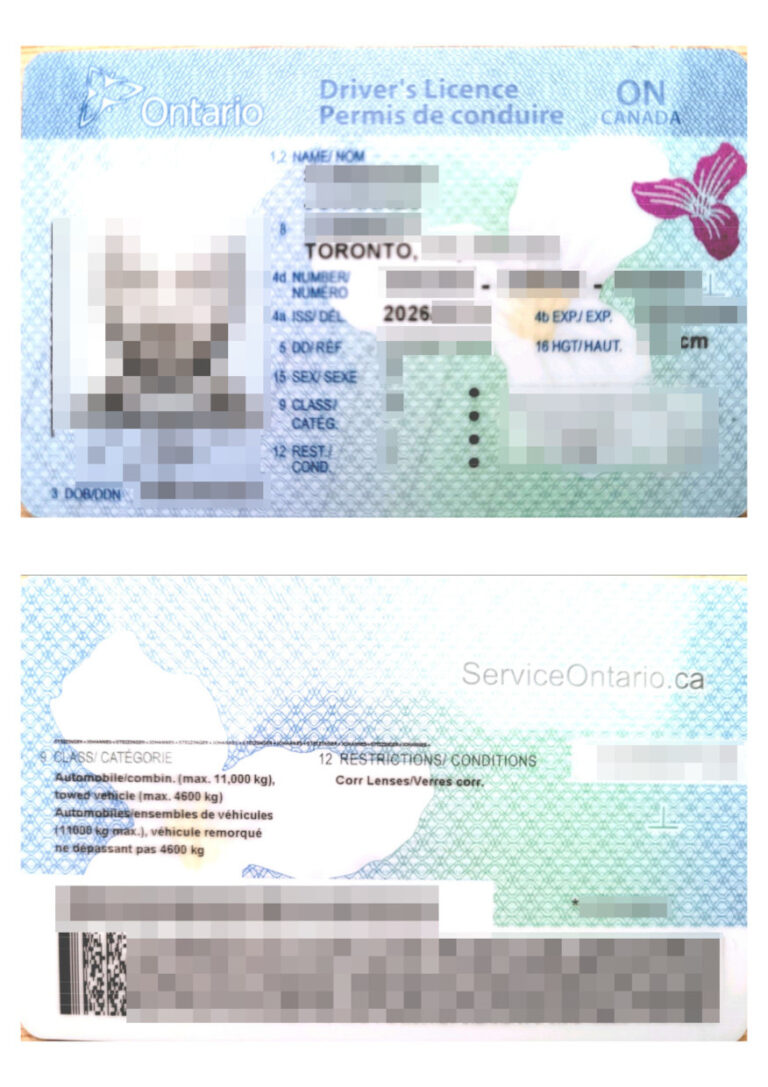 certified-geman-translation-canadian-drivers-licence