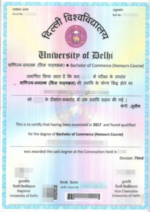 Indien Hochschulabschluss